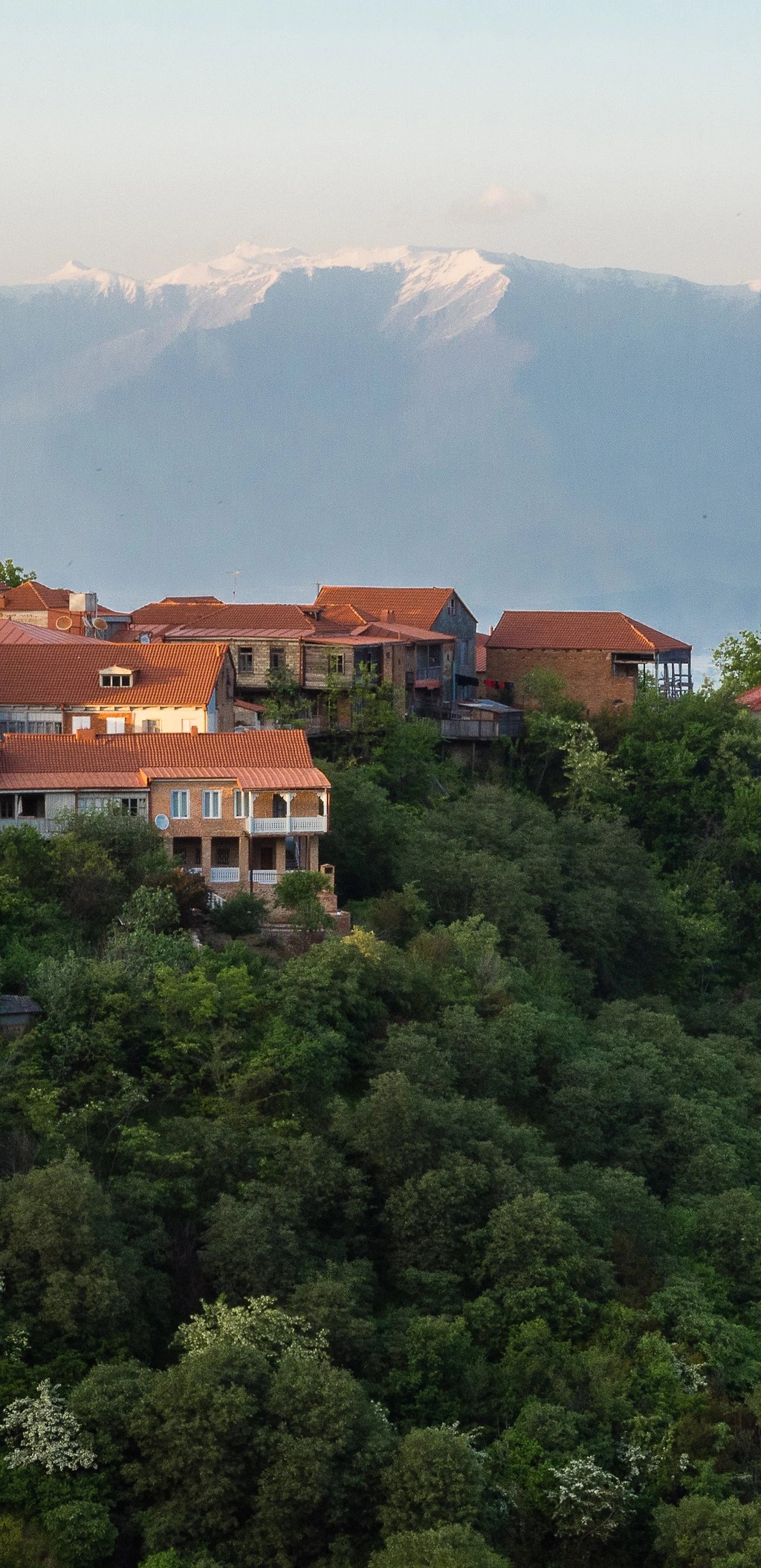 Групповой тур тбилиси + батуми. Tury Po Gruzii Aleko Tur Batumi Tbilisi Borzhomi Signahi