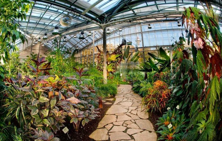 Оранжерея главного ботанического сада открыта для экскурсий круглый год. Sajt 4 A Klassa Shkoly 44 Zvyozdochki Botanicheskij Sad Ekskursiya Na 25 Maya V 11 00 Chasov