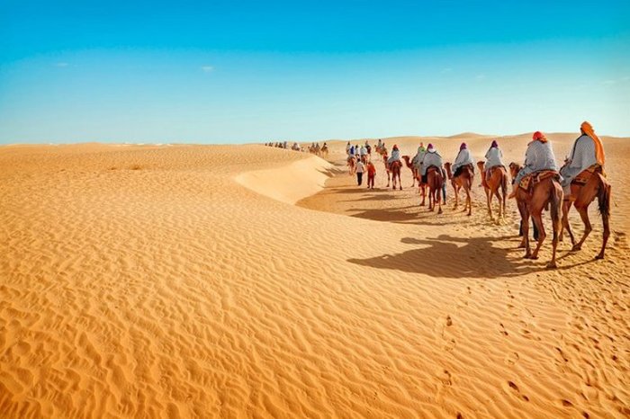 Эксклюзивные Туры В Сахару&nbsp;Фотографий
