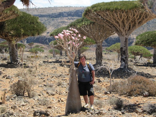 Рекламные Туры В Сокотру&nbsp;Отзывы