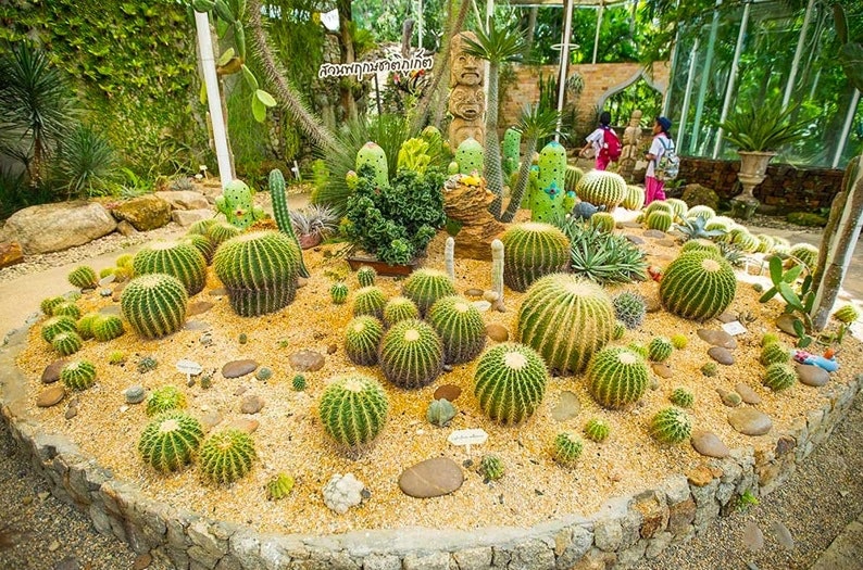 33+ Ботанический Сад Входной Билет&nbsp;Фото