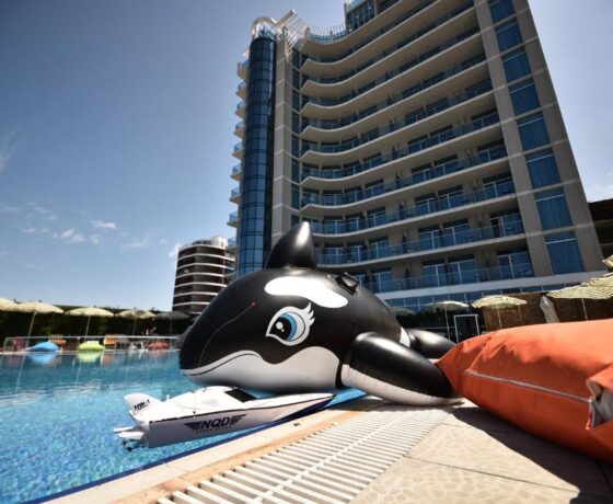 43+ Туры В Гудаури Из Одессы цены и отзывы 2022