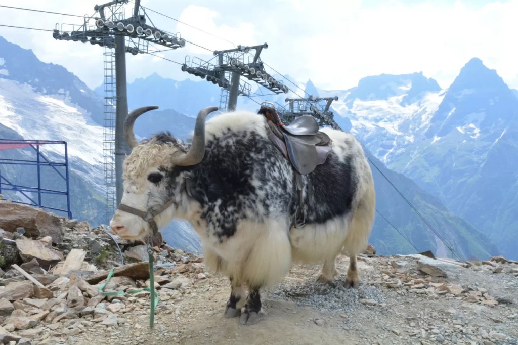 Лучших Туры В Санатории Кавказских Минеральных Вод&nbsp;Фотографий