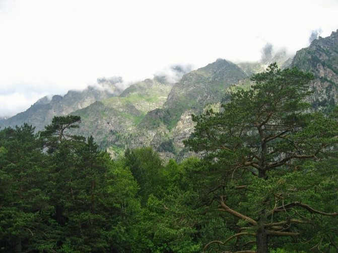 Лучших Ущелье Цей цены и отзывы 2022