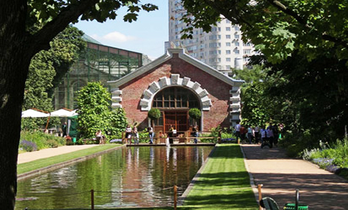 Эксклюзивные Ботанический Сад Москва Оранжерея Цена Картинки