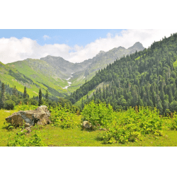 16+ Экскурсия Альпийские Луга Абхазия Цены 2022