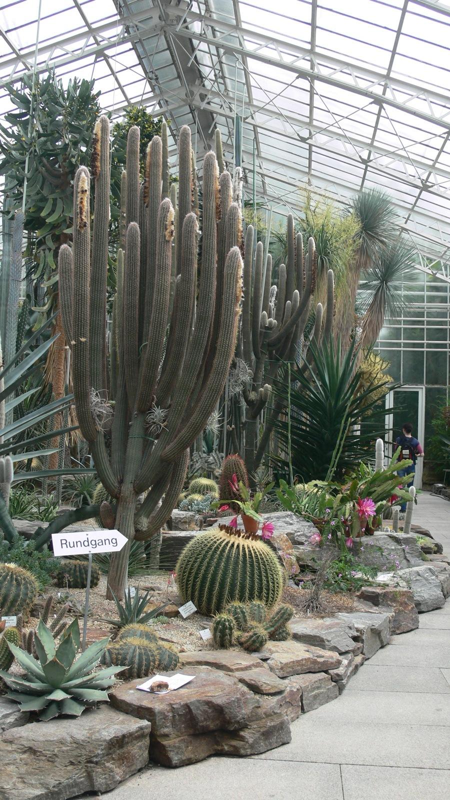 Рекламные На Экскурсии В Ботаническом Саду Маша Увидела Цены&nbsp;2022