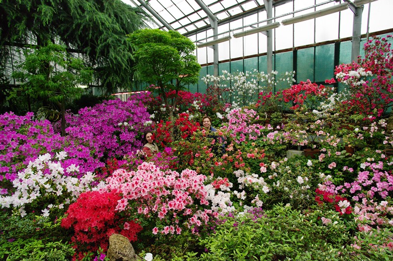 Лучших В Ботаническом Саду Цены 2022