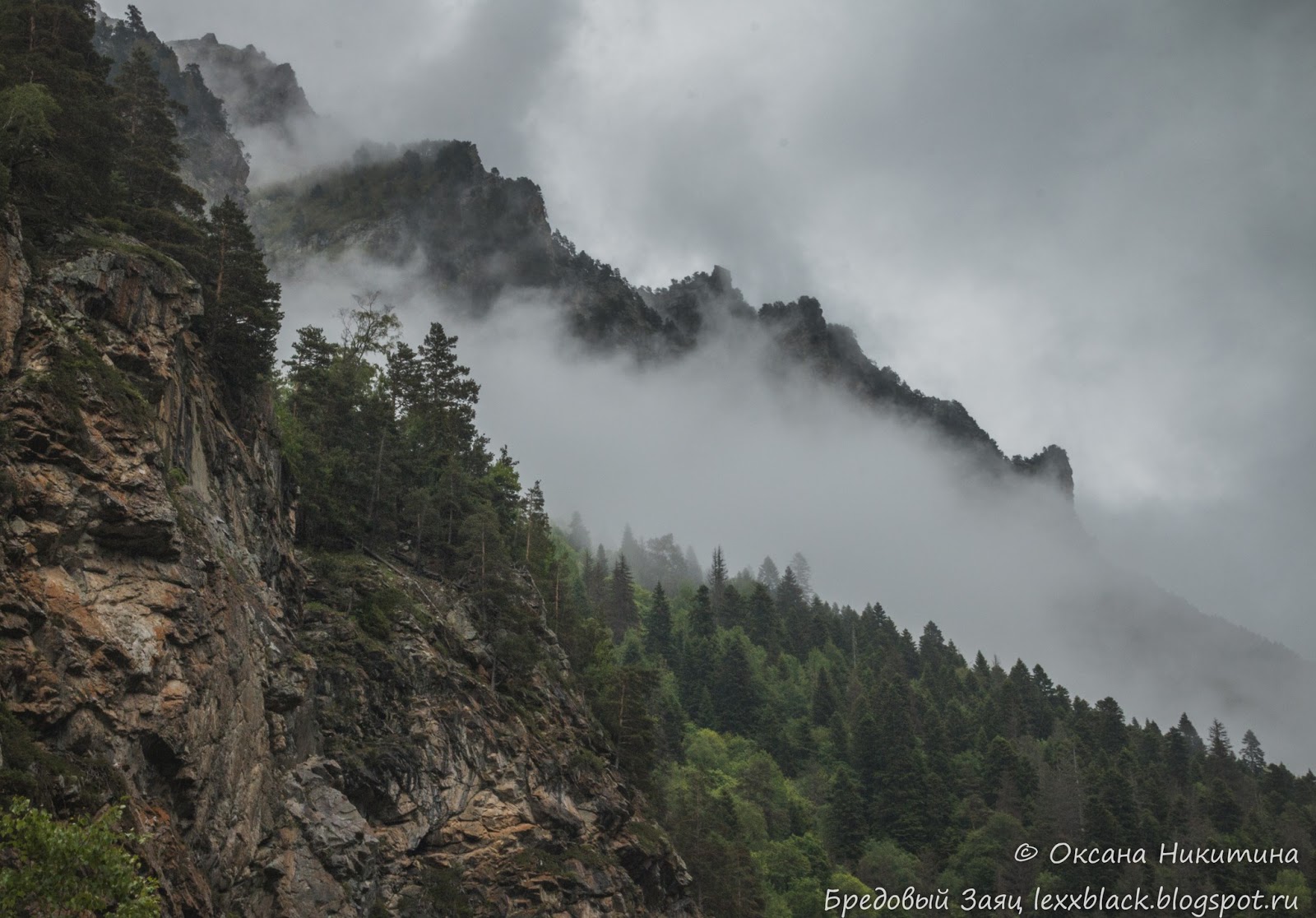 Ущелье гоначхир расположено совсем недалеко от домбая, но чтобы наверняка не промахнуться, следует высматривать на дорoге синий щит с указателем на северный приют. Bredovyj Zayac Ushele Gonachhir I Forelevoe Ozero Tumanly Kyol Kchr